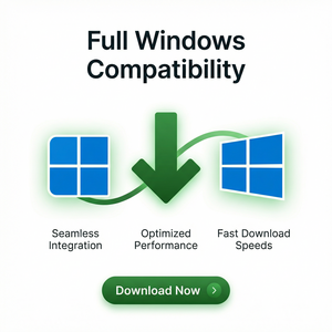 IDM官网 - IDM域名解析